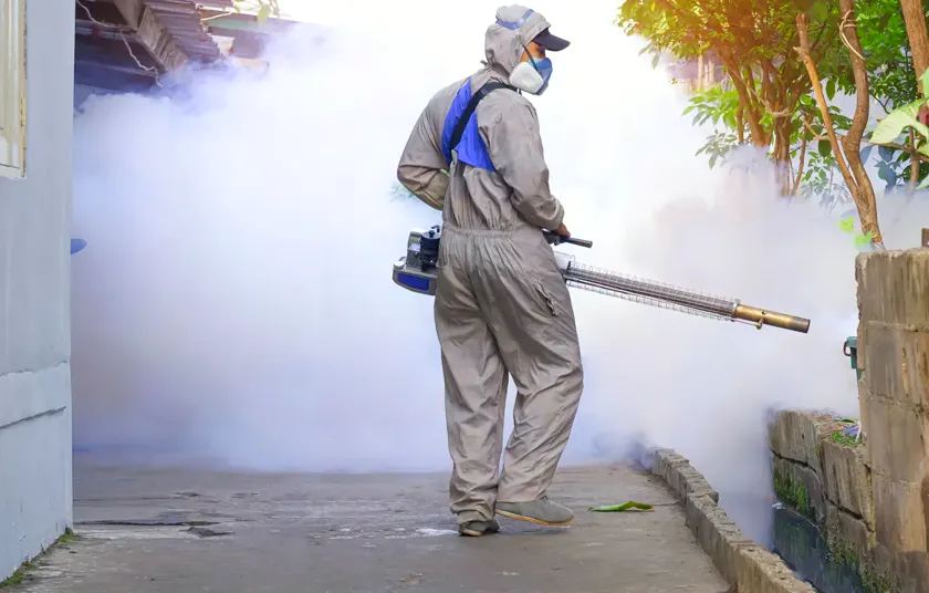Tratamiento de moscas en Viladecans — BioPest