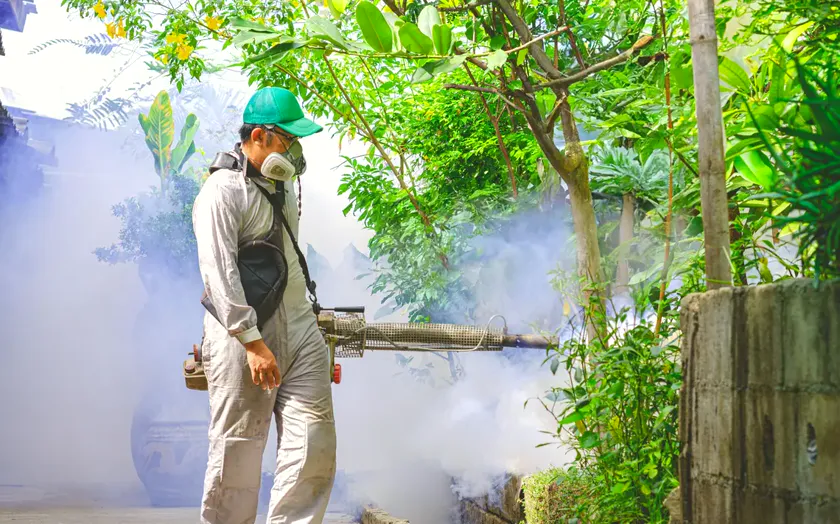 Tratamiento de mosquito tigre en Viladecans — BioPest