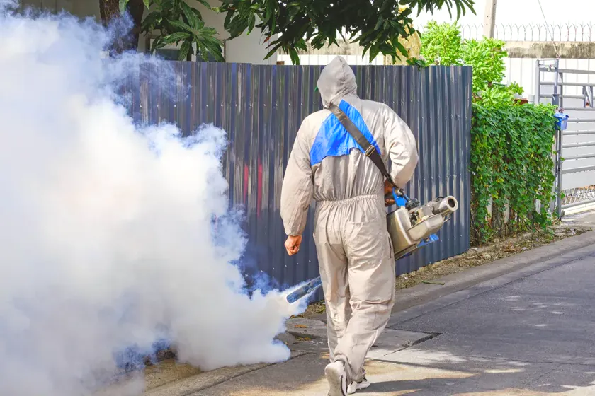 Tratamiento de mosquitos en Viladecans — BioPest