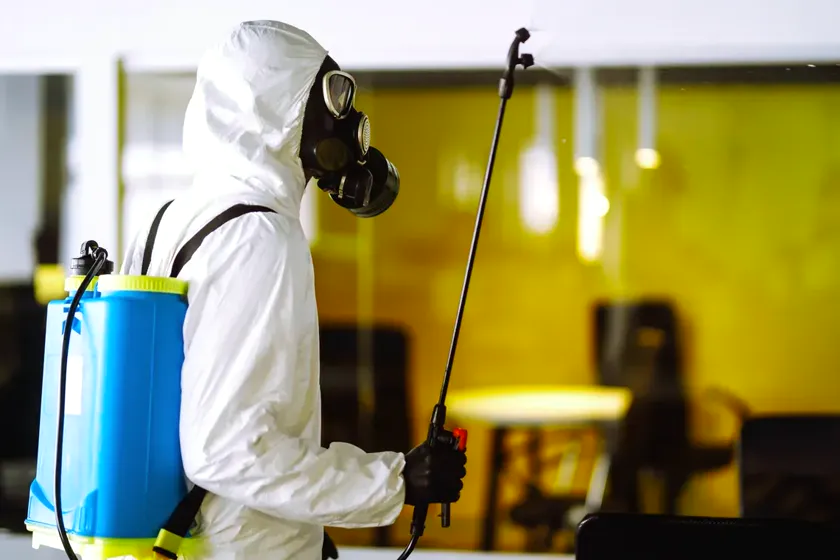 Control de plagas para oficinas en Viladecans — BioPest