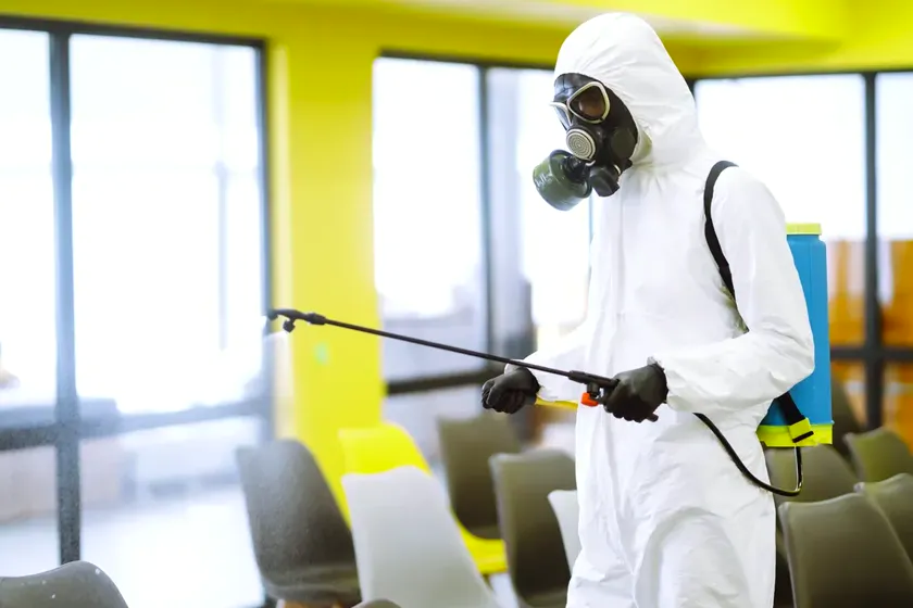 Control de plagas para clínicas y residencias en Viladecans — BioPest